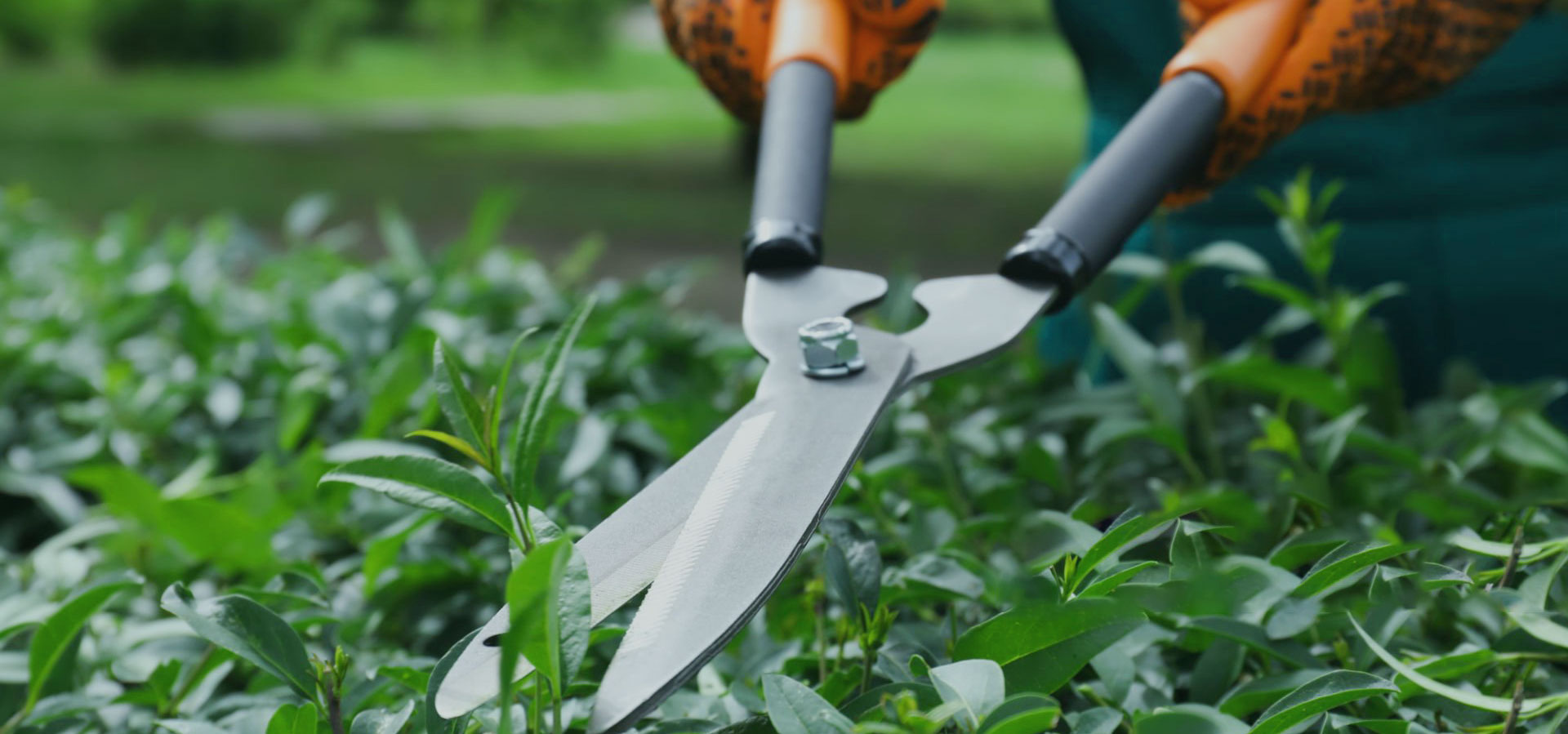 25年專(zhuān)業(yè)，只為更好