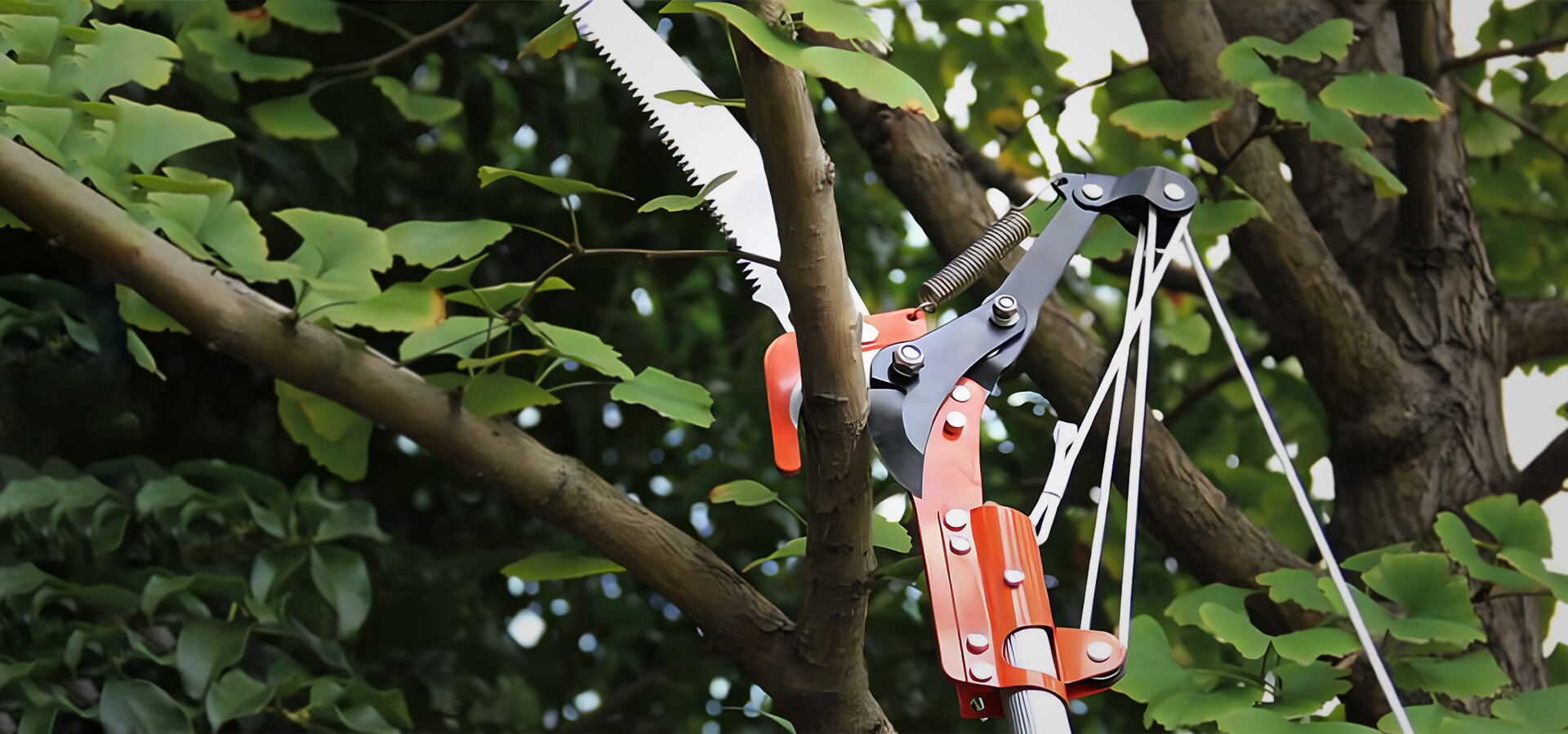 精工細(xì)作，品質(zhì)見(jiàn)證